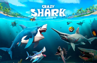 Crazy Shark img