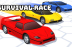 Survival Race img