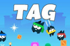 Tag Game img